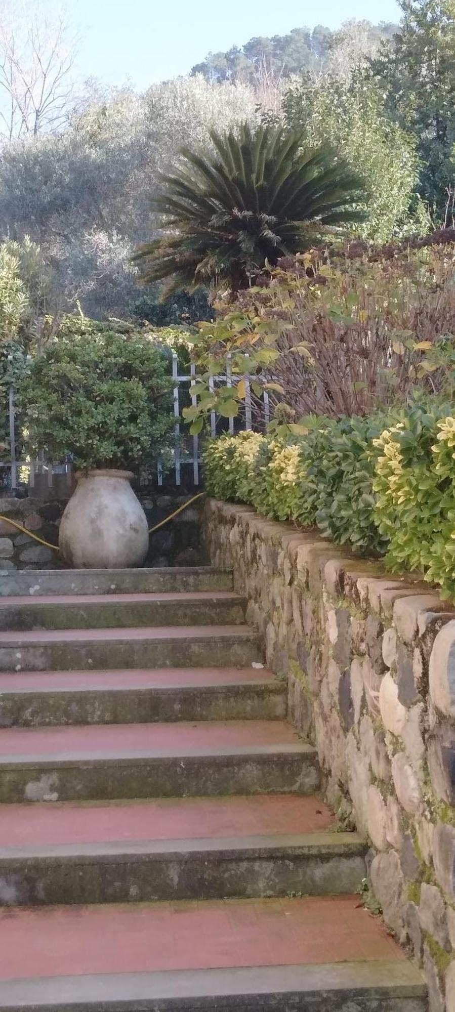 Oasi Felice Apartment Levanto Exterior photo